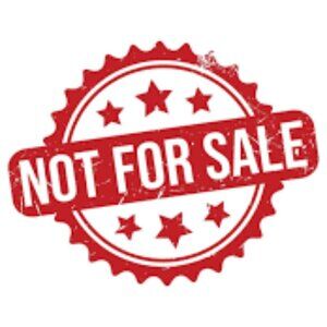 Roadrunner Bird Mascot Vintage Lapel Pin